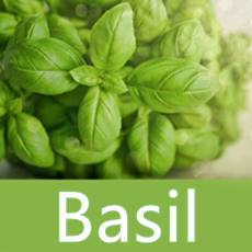 basil leaves, text says Basil