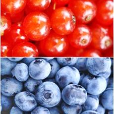 cranberries and blueberries