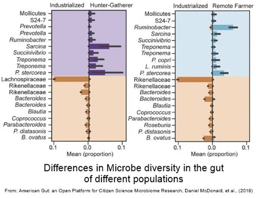 a chart showing the differing proportions of several gut bacteria in industrialized and hunter-gatherer groups 