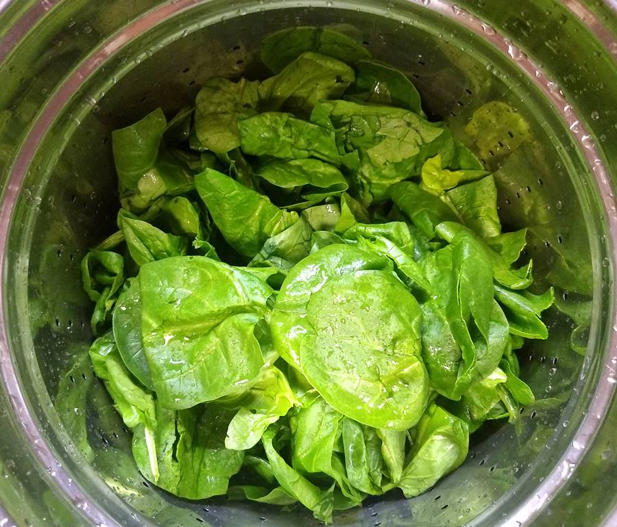 raw spinach in pot ready for steaming