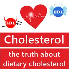 heart, LDL and HDL
