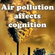 pollution