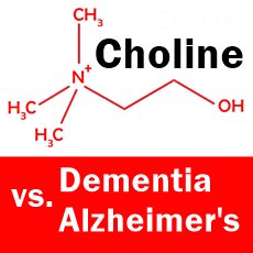 choline