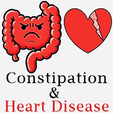 gut and heart drawings