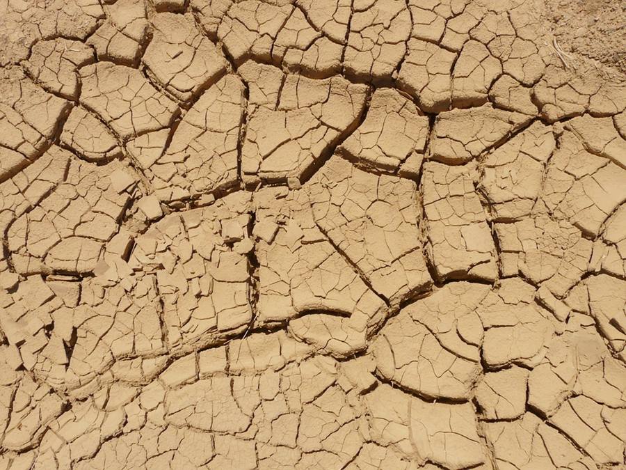cracked, parched dry soil