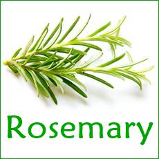rosemary