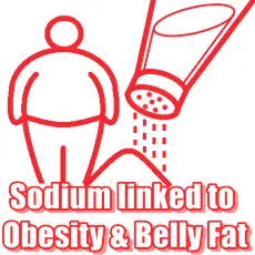 drawing fat person, salt cellar