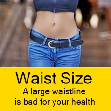 slim woman waist showing between a top and a pair of jeans