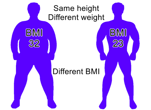 BMI of two men with same height and different weight: one is fit the other fat