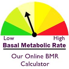 scale color graded green to red, black arrow, captioned Basal Metabolic Rate calculator