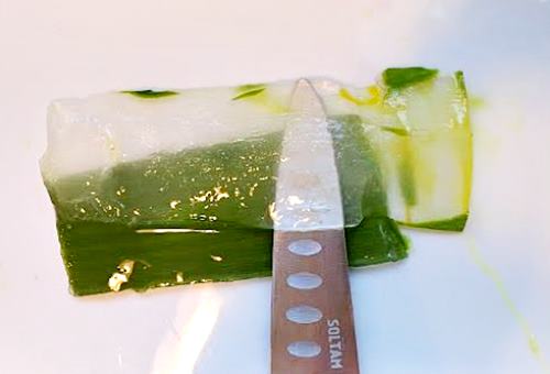 Aloe Vera leaf with exterior removed, a knife seen through the transparent gel