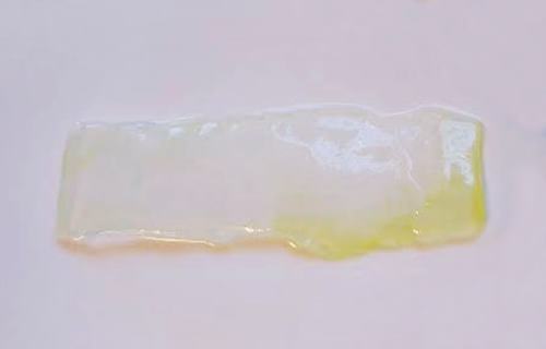 Aloe Vera, the transparent gel
