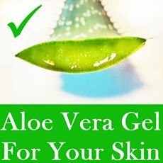 aloe vera leaf cut transversally, showing gel and text