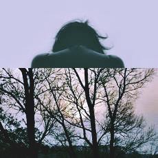 woman head and shoulders seen from behind, bleak tree branches below, gray, image