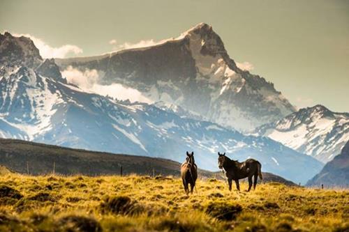  horses on the range with a backdrop of steep snowcapped granite mountains
