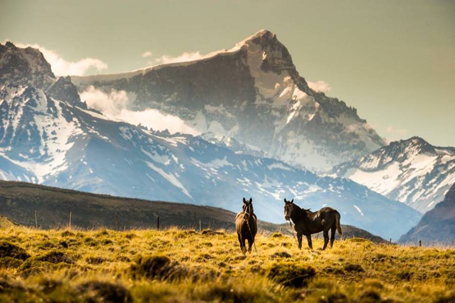horses on the range with a backdrop of steep snowcapped granite mountains