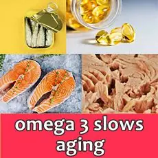 fish oils